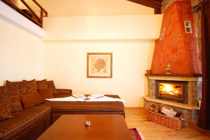 Vasilitsa Spa Resort Grevena Zimmer foto