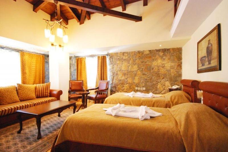 Vasilitsa Spa Resort Grevena Zimmer foto