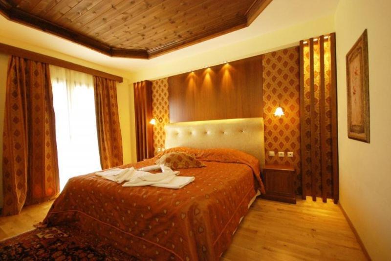 Vasilitsa Spa Resort Grevena Zimmer foto